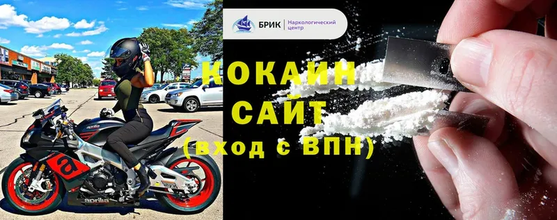 COCAIN Fish Scale  где продают наркотики  Данков 