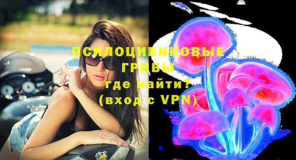 тгк Вязьма