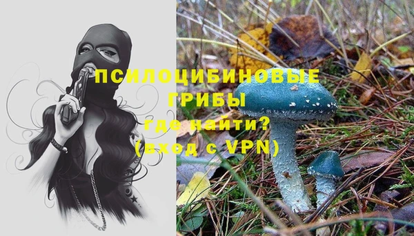 тгк Вязьма