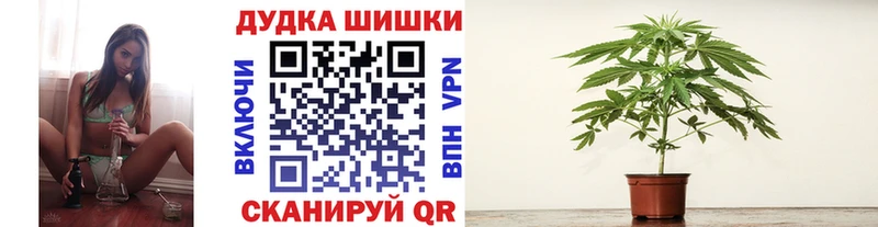 Каннабис конопля  Данков 